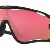 Oakley - Jawbreaker Carbon Purple - Prizm Trail Torch